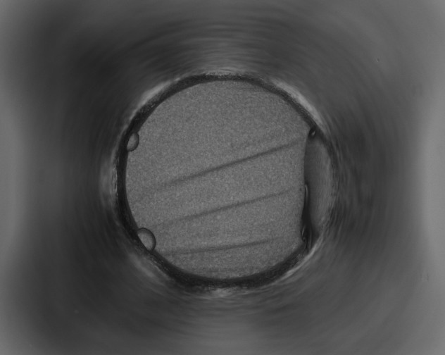 X0000086770584200705111737