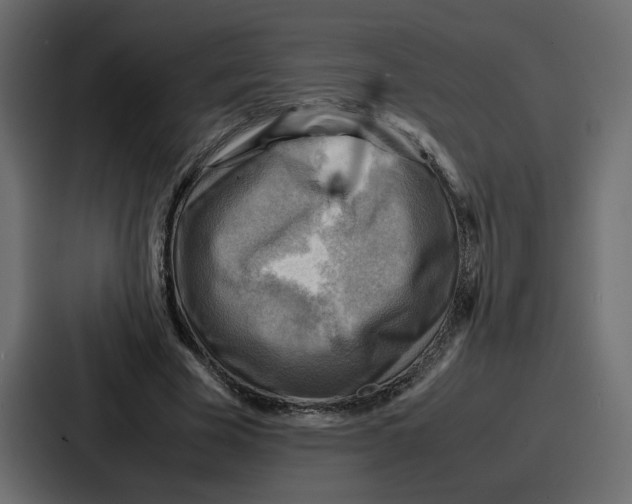 X0000086770585200705111737