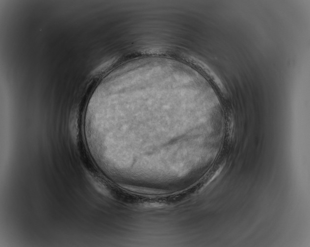 X0000086770586200705111737
