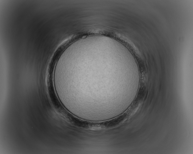 X0000086770587200705111737