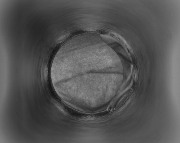 X0000086770589200705111737
