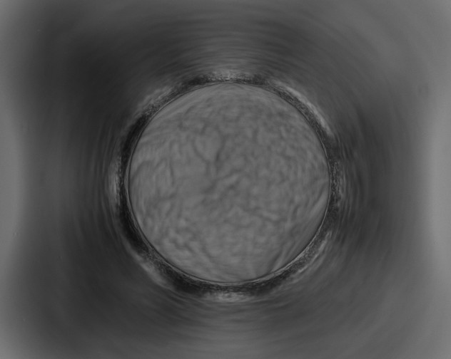 X0000086770590200705111737