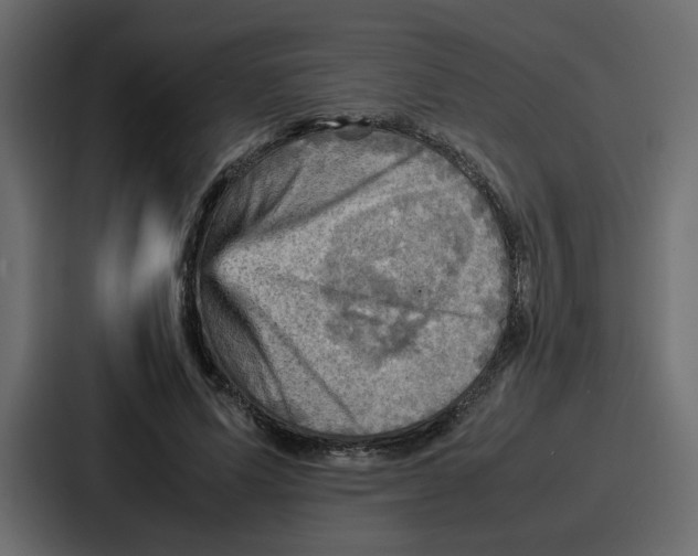 X0000086770591200705111737