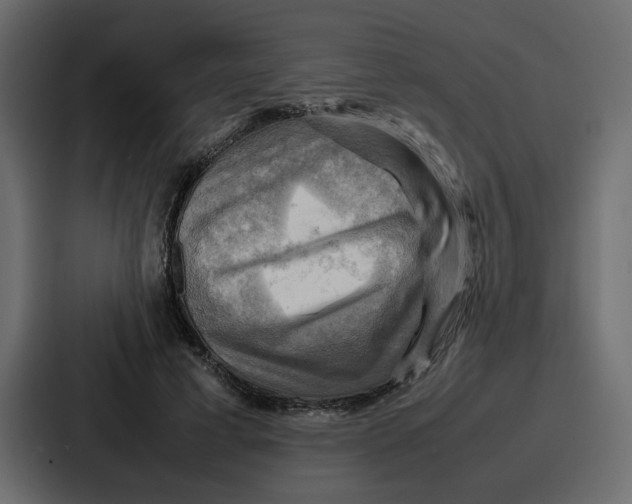 X0000086770593200705111737