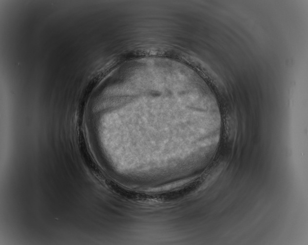 X0000086770594200705111737