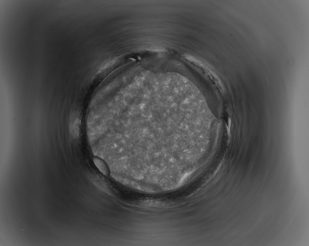 X0000086770596200705111737