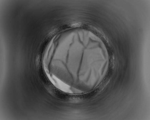 X0000086770598200705111736