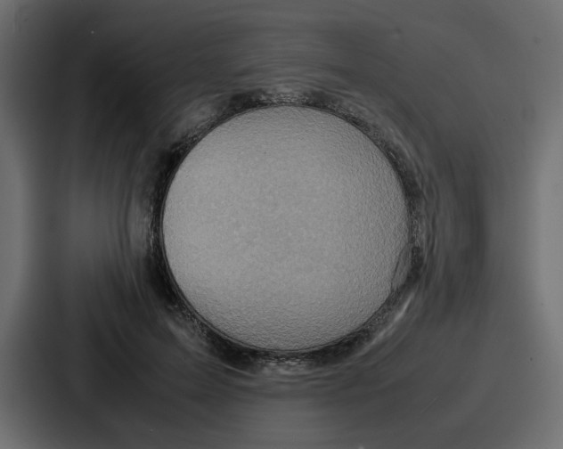 X0000086770599200705111736