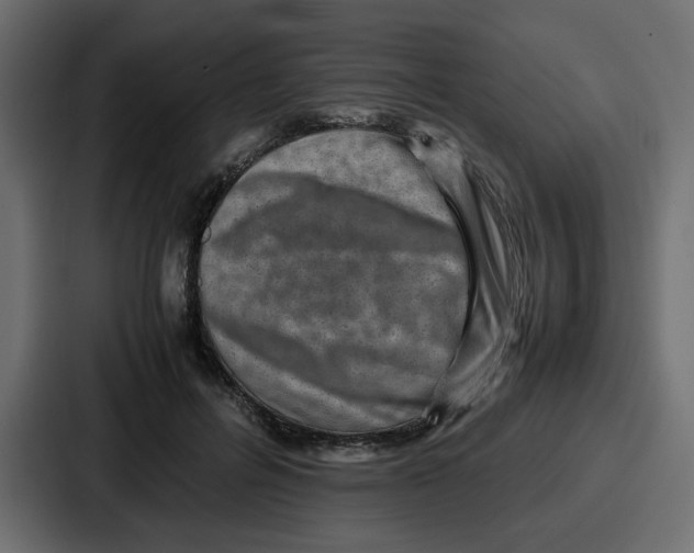 X0000086770600200705111736