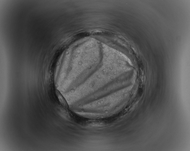 X0000086770601200705111736