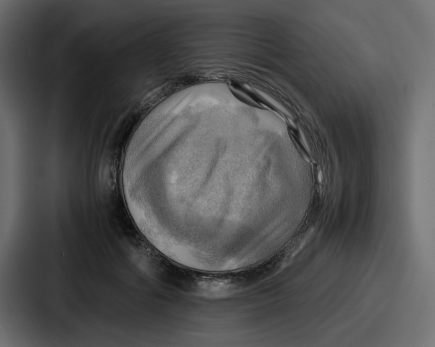 X0000086770602200705111736