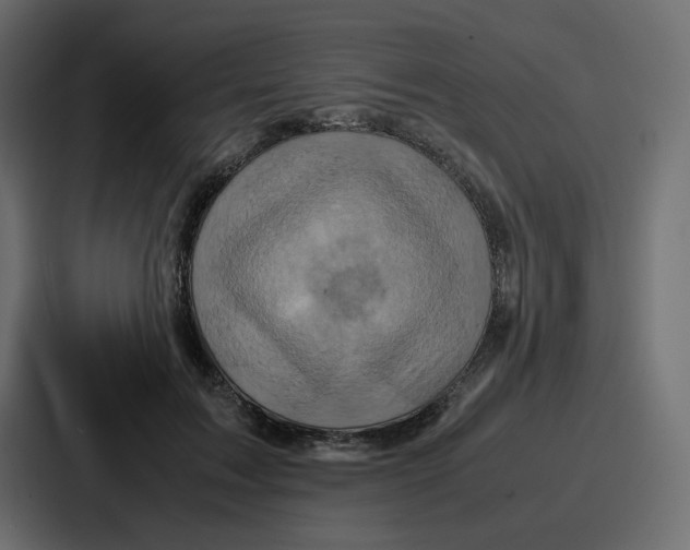 X0000086770603200705111736