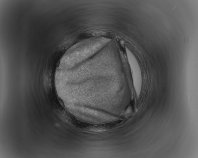 X0000086770604200705111736