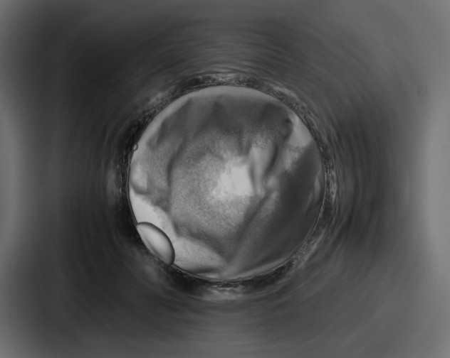 X0000086770606200705111736