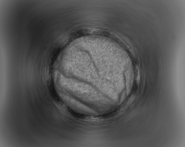 X0000086770607200705111736