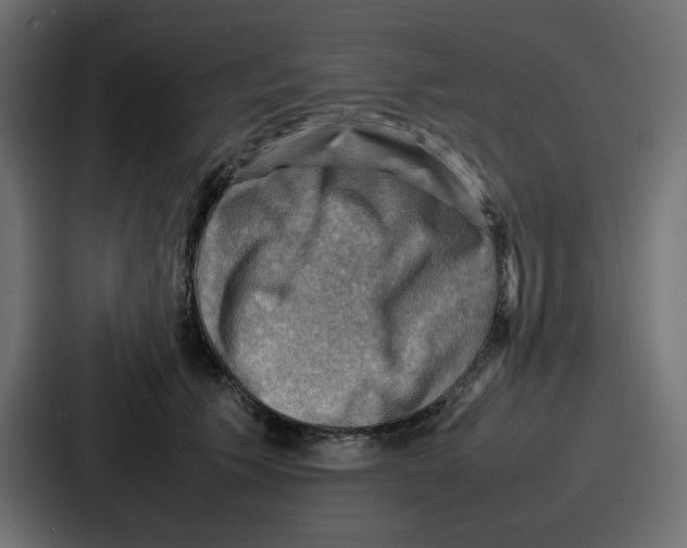 X0000086770609200705111736