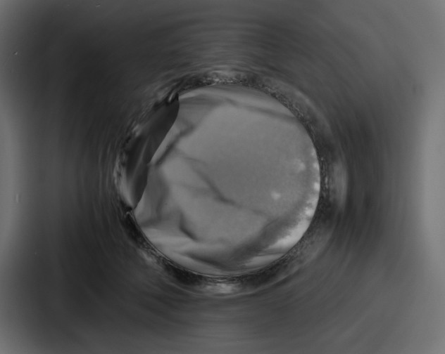 X0000086770610200705111736