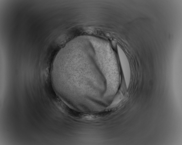 X0000086770611200705111736