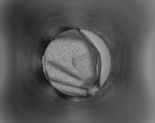 X0000086770613200705111736
