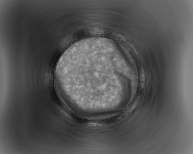 X0000086770614200705111736