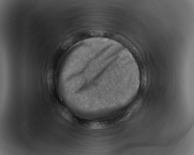 X0000086770616200705111736