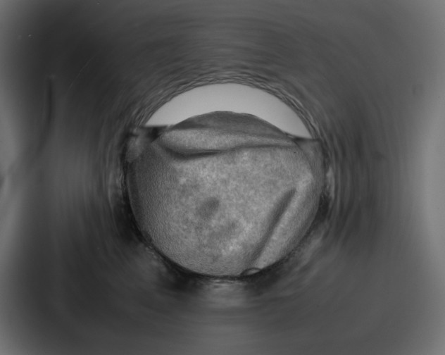 X0000086770617200705111736