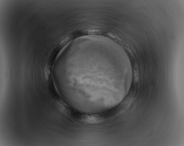 X0000086770618200705111736