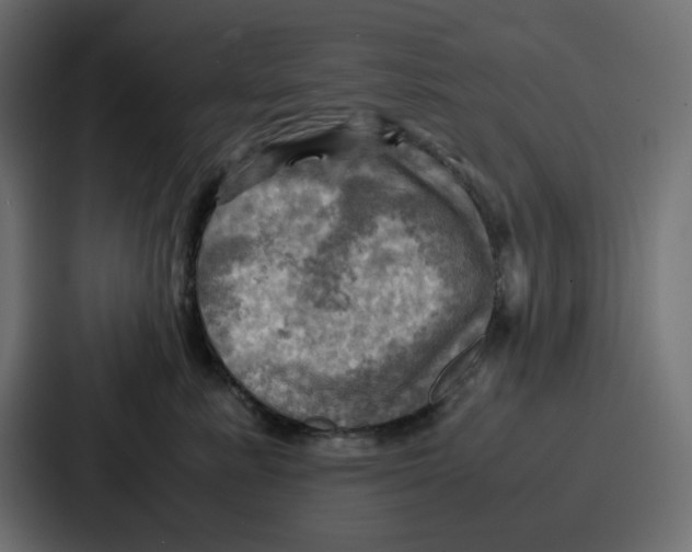 X0000086770619200705111736