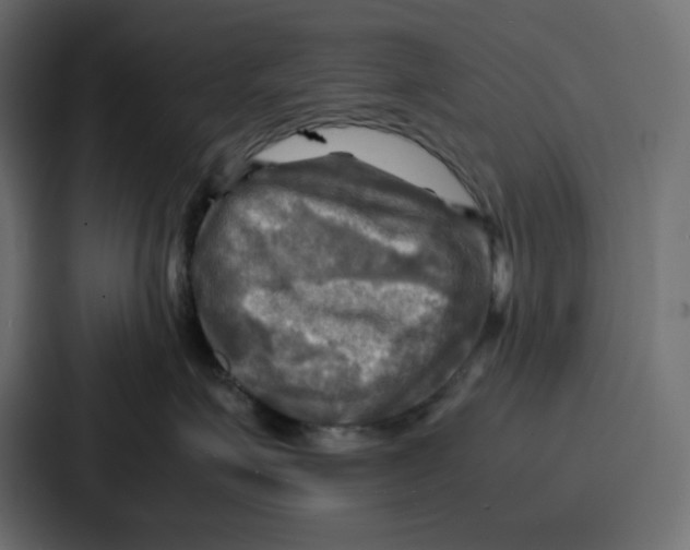 X0000086770623200705111736