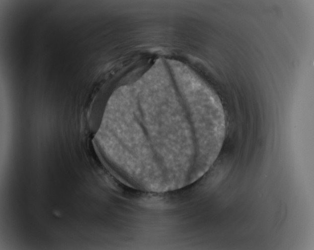 X0000086770624200705111736