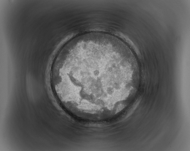 X0000086770625200705111736