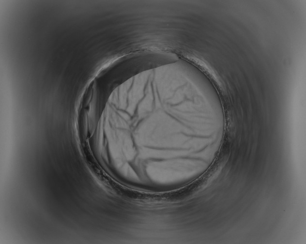 X0000086770626200705111736