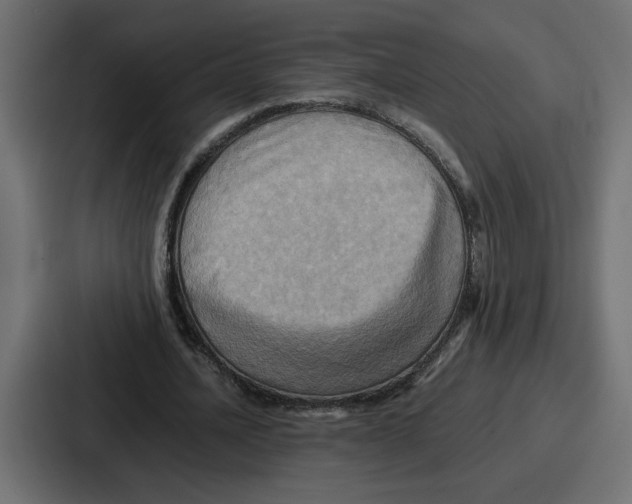 X0000086770628200705111736