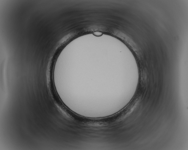 X0000086770629200705111736