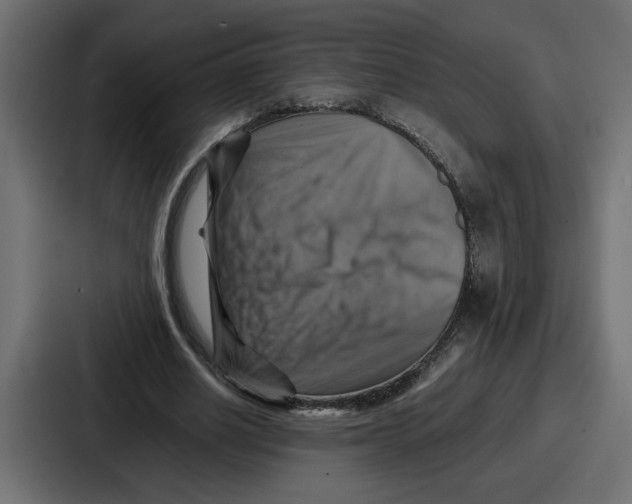 X0000086770630200705111736