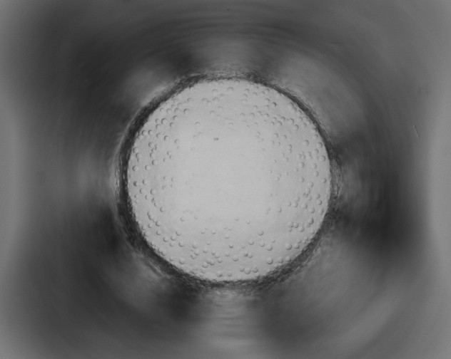 X0000086770632200705111736