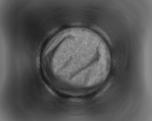 X0000086770633200705111736