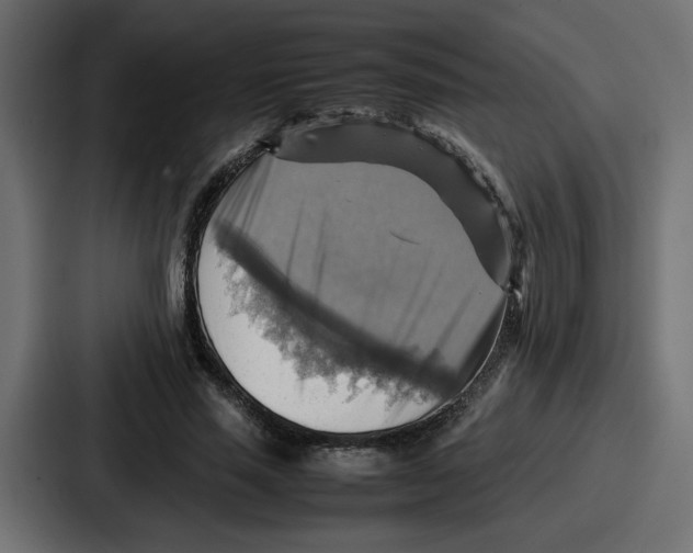 X0000086770637200705111736