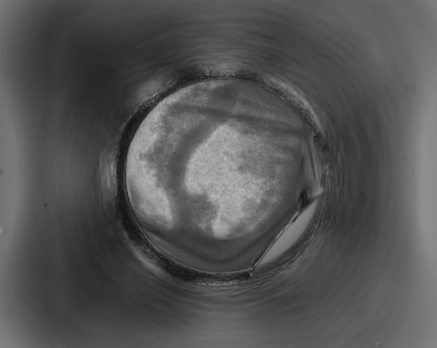 X0000086770638200705111736