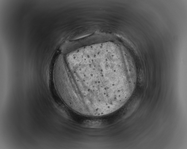 X0000086770639200705111736
