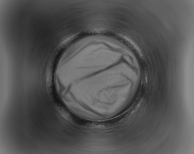 X0000086770640200705111736