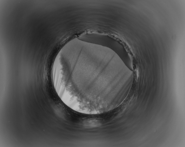 X0000086770643200705111736