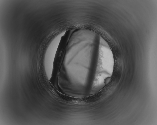 X0000086770644200705111736
