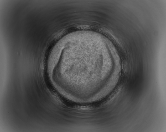 X0000086770645200705111736