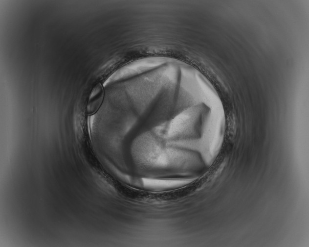 X0000086770648200705111736