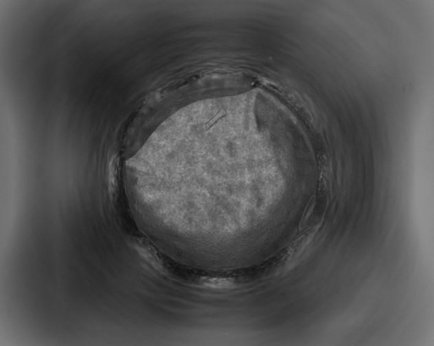 X0000086770649200705111736