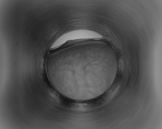 X0000086770650200705111736