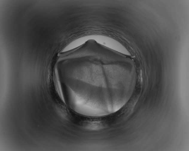 X0000086770651200705111736