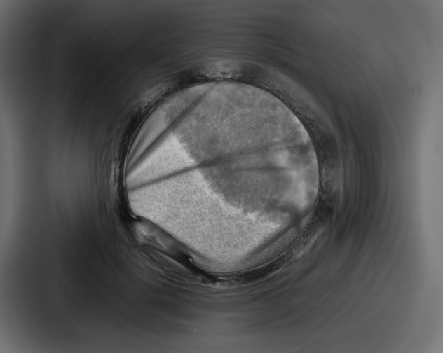 X0000086770652200705111736
