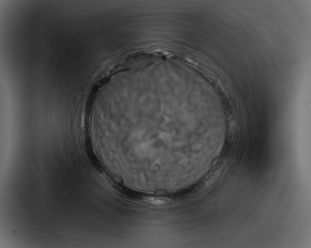 X0000086770654200705111736
